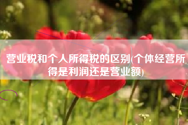 详细阅读:营业税和个人所得税的区别(个体经营所得是利润还是营业额) 营业税和个人所得税的区别(个体经营所得是利润还是营业额)