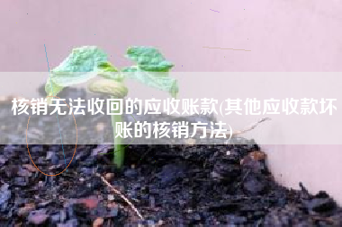 详细阅读:核销无法收回的应收账款(其他应收款坏账的核销方法) 核销无法收回的应收账款(其他应收款坏账的核销方法)
