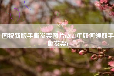 国税新版手撕发票图片(2021年如何领取手撕发票)