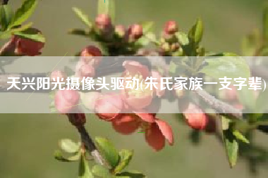 天兴阳光摄像头驱动(朱氏家族一支字辈)