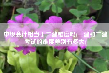 中级会计相当于二建难度吗(一建和二建考试的难度差别有多大)