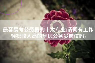 最容易考公务员的十大专业(请问有工作轻松收入高的基层公务员岗位吗)