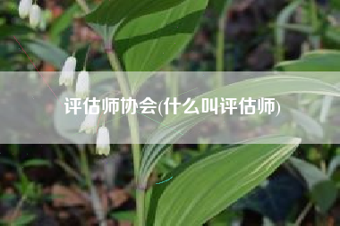 评估师协会(什么叫评估师)