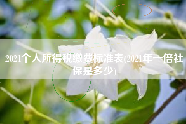 详细阅读:2021个人所得税缴费标准表(2021年一倍社保是多少) 2021个人所得税缴费标准表(2021年一倍社保是多少)