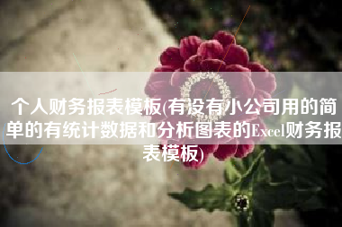 详细阅读:个人财务报表模板(有没有小公司用的简单的有统计数据和分析图表的Excel财务报表模板) 个人财务报表模板(有没有小公司用的简单的有统计数据和分析图表的Excel财务报表模板)