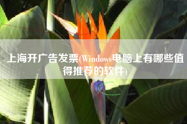 详细阅读:上海开广告发票(Windows电脑上有哪些值得推荐的软件) 上海开广告发票(Windows电脑上有哪些值得推荐的软件)