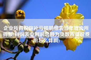 详细阅读:企业所得税弥补亏损明细表当年境内所得额(利润表中利润总额为负数所得税费用怎么算啊) 企业所得税弥补亏损明细表当年境内所得额(利润表中利润总额为负数所得税费用怎么算啊)