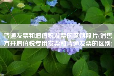 普通发票和增值税发票的区别照片(销售方开增值税专用发票和普通发票的区别)