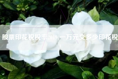 股票印花税税率2019(一万元交多少印花税)