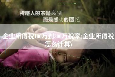 企业所得税100万到300万税率(企业所得税怎么计算)
