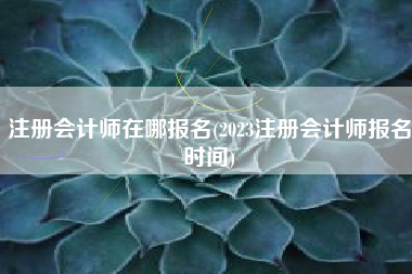 注册会计师在哪报名(2023注册会计师报名时间)