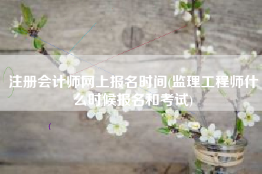 注册会计师网上报名时间(监理工程师什么时候报名和考试)