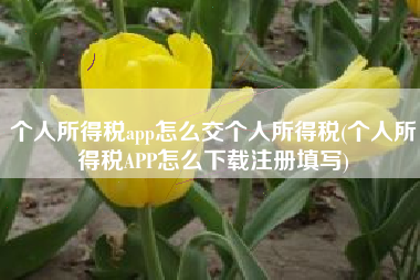 个人所得税app怎么交个人所得税(个人所得税APP怎么下载注册填写)
