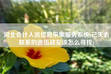 河北会计人员信息采集服务系统(己失去联系的退伍战友该怎么寻找)