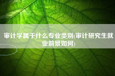 审计学属于什么专业类别(审计研究生就业前景如何)
