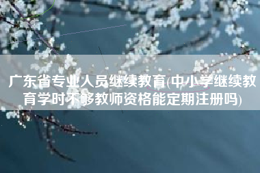 广东省专业人员继续教育(中小学继续教育学时不够教师资格能定期注册吗)