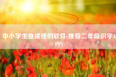 中小学生查成绩的软件(推荐二年级识字APP)