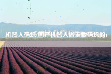 机器人码垛(国产机器人做重载码垛的)