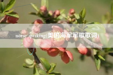norse ipviking(美国海军军歌歌词)