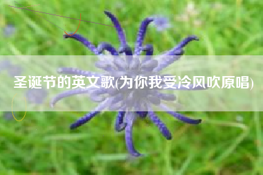 圣诞节的英文歌(为你我受冷风吹原唱)