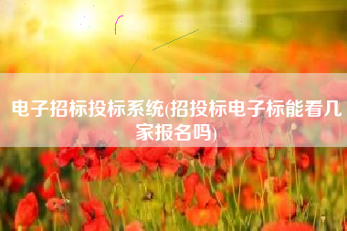 电子招标投标系统(招投标电子标能看几家报名吗)