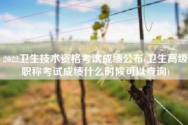 2022卫生技术资格考试成绩公布(卫生高级职称考试成绩什么时候可以查询)