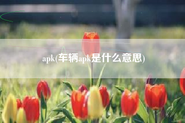 apk(车辆apk是什么意思)