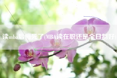 读mba后悔死了(MBA读在职还是全日制好)