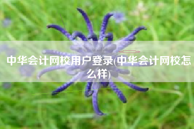 中华会计网校用户登录(中华会计网校怎么样)