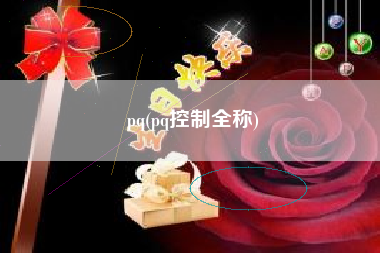 pq(pq控制全称)
