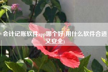 会计记账软件app哪个好(用什么软件合适又安全)