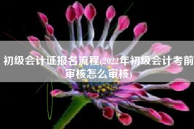 初级会计证报名流程(2022年初级会计考前审核怎么审核)