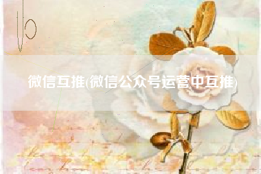微信互推(微信公众号运营中互推)