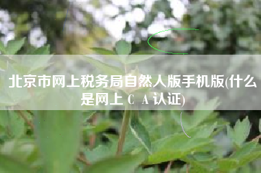 北京市网上税务局自然人版手机版(什么是网上ＣＡ认证)