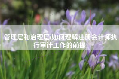 管理层和治理层(如何理解注册会计师执行审计工作的前提)