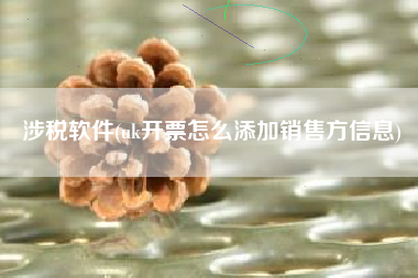 涉税软件(uk开票怎么添加销售方信息)