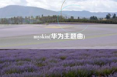 myskin(华为主题曲)