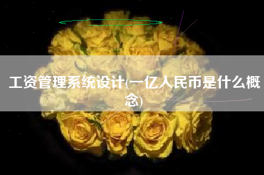 工资管理系统设计(一亿人民币是什么概念)