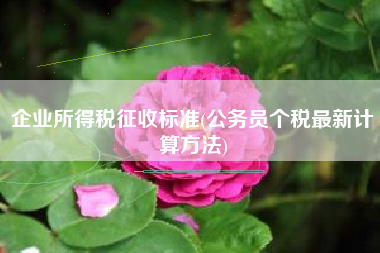 企业所得税征收标准(公务员个税最新计算方法)