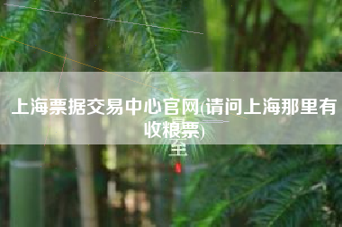 上海票据交易中心官网(请问上海那里有收粮票)