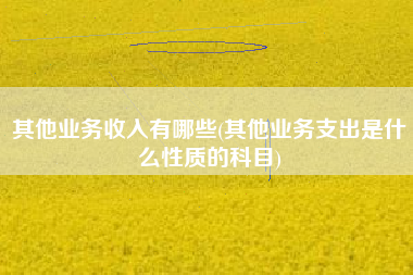 其他业务收入有哪些(其他业务支出是什么性质的科目)