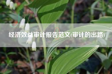 经济效益审计报告范文(审计的出路)