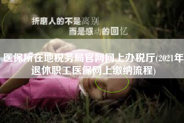 医保所在地税务局官网网上办税厅(2021年退休职工医保网上缴纳流程)