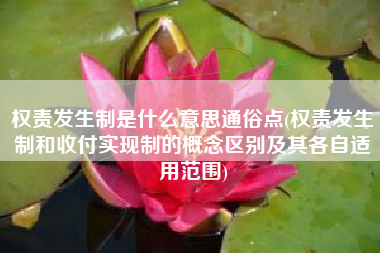 权责发生制是什么意思通俗点(权责发生制和收付实现制的概念区别及其各自适用范围)