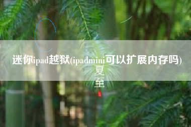 迷你ipad越狱(ipadmini可以扩展内存吗)