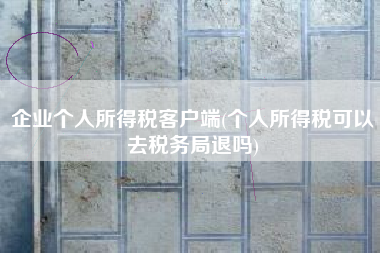 企业个人所得税客户端(个人所得税可以去税务局退吗)