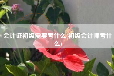 会计证初级需要考什么(初级会计师考什么)