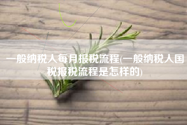 一般纳税人每月报税流程(一般纳税人国税报税流程是怎样的)