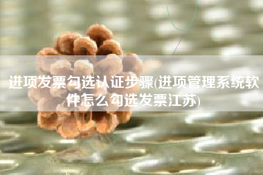 进项发票勾选认证步骤(进项管理系统软件怎么勾选发票江苏)