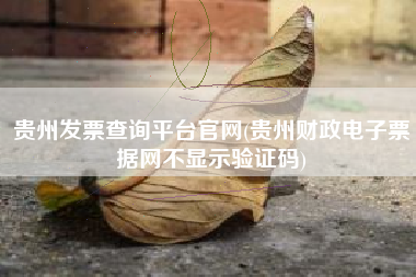 贵州发票查询平台官网(贵州财政电子票据网不显示验证码)